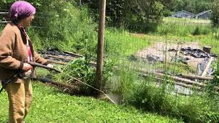 Weed removal using a pressure washer in a garden organically called Hydrotilling