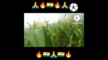 Use the edit icon to pin, add or delete clips, # short # video # hesteg