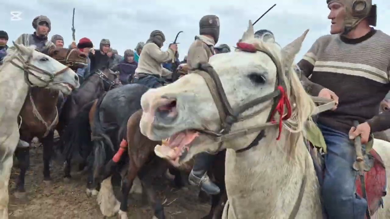 кокпар КАЛИНИН