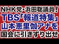 TBS Report Special Drag Yamamoto Erika To The Diet Daily WiLL TBS Report Special Drag Yamamoto Erika To The Diet Daily WiLL