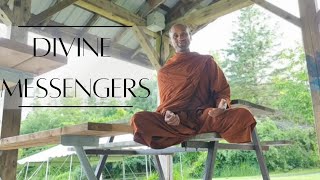 Divine Messengers | 2023-06-26 | Bhante Joe