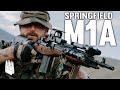 The gun liberals arent scared of but they should be the springfield m1a scout