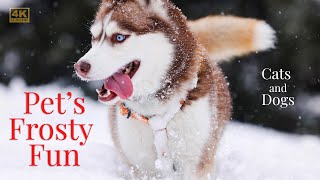 Funny Pets having fun in the snow by Happy Pets Space 5,350 views 4 months ago 25 minutes