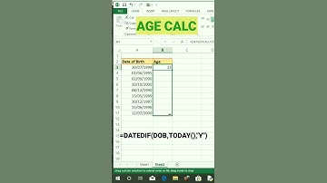 auto age calculator in excel #short #shorts #Excel #exceltips #excelworld #exceltutorial #data