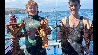 Crayfish and Paua Freediving - Banks Peninsula