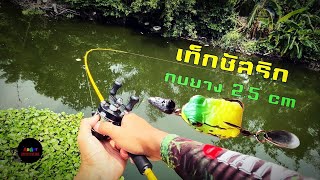 เท็กซัสริกกบยาง 2.5 cm ตกปลาช่อนคลองตึงจัด #เท็กซัสริก #กบยาง #streetfishing