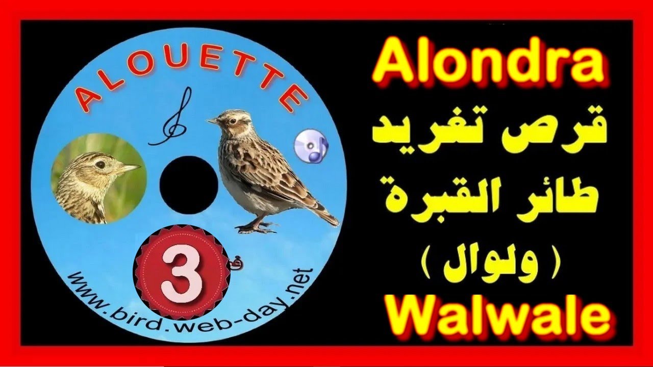 CHANT DE ALOUETTE walwal1 CD     