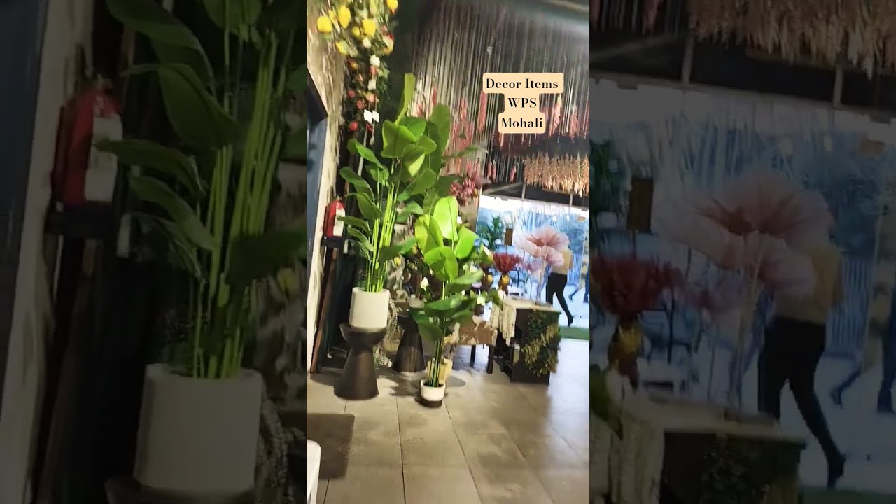 WPS Mohali Decorations Item's 