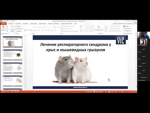 09 08 «Лечение респираторного синдрома у крыс и мышевидных грызунов»