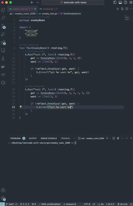 The two sneaky numbers of digitville 3289 - golang short #golang # ...