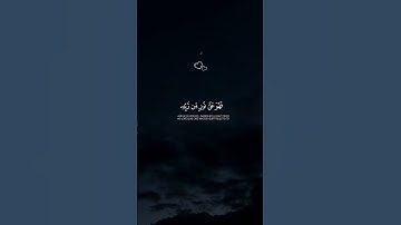 أَفَمَن شَرَحَ اللَّهُ صَدْرَهُ لِلْإِسْلَامِ | محمد اللحيدان | القران الكريم 🤍