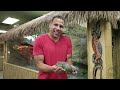 Reptile Zoo! SnakeBytesTV : AnimalBytesTV