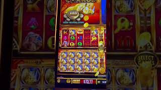 FULL SCREEN RHINOs!!! … but did it pay? 480 free games #rhinochargeslot #lasvegasslots #fullscreen screenshot 4