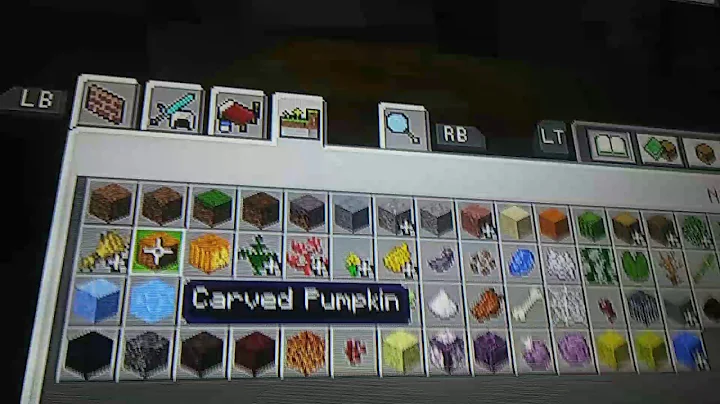 Hunter and Davyn play Minecraft