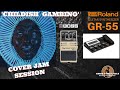 Roland GR-55 Guitar Synthesizer &amp; BOSS AW-3 - Childish Gambino Revised Cover Jam with Guitar Solo