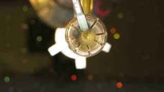 Get Your Daisy Quartz Domeless Nail By C2 Custom Creations Glass at WWW.DABFARM.COM