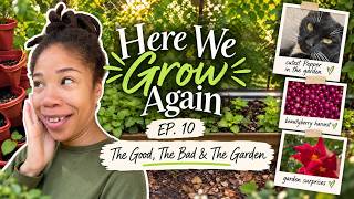 Here We Grow Again 🌿| Ep.10: The Good, The Bad & The Garden