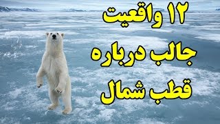 ۱۰+۲ واقعیت جالب و باورنکردنی درباره قطب شمال