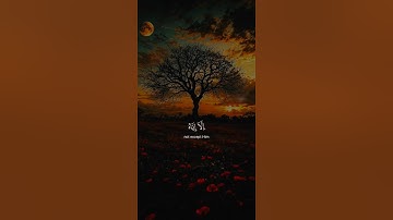 اكتب شيء تؤجر عليه 😴🤍 القارئ ياسر الدوسري