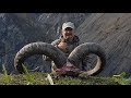 DAGESTAN TUR HUNTING HIGHLIGHTS