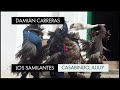🎥 Los Samilantes de Casabindo y su danza típica argentina 🎥