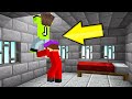 I ESCAPED PRISON With My BEST FRIEND! (Minecraft)