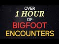 OVER 1 HOUR OF BIGFOOT ENCOUNTERS