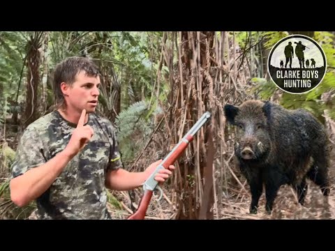 FINDING BIG FOOT BOAR! Hunting down an elusive wild hog.