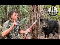 Finding big foot boar hunting down an elusive wild hog