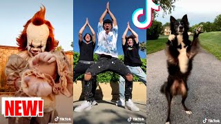 Download lagu Marry Me Juliet You'll Never Have to be Alone - TIKTOK COMPILATION MP3 Download lagu Marry Me Juliet You'll Never Have to be Alone - TIKTOK COMPILATION