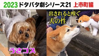 2023狂犬病予防注射会場のドタバタ劇㉑ 上市町編