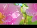 Relaxing Piano Music 🍀 Soft Piano Music 🍀 Piano Music For Stress Relief 🍀 Meditation Piano Music