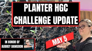 #planterhgc2024  May 5 in honor of #mmiw and Aubrey Dameron