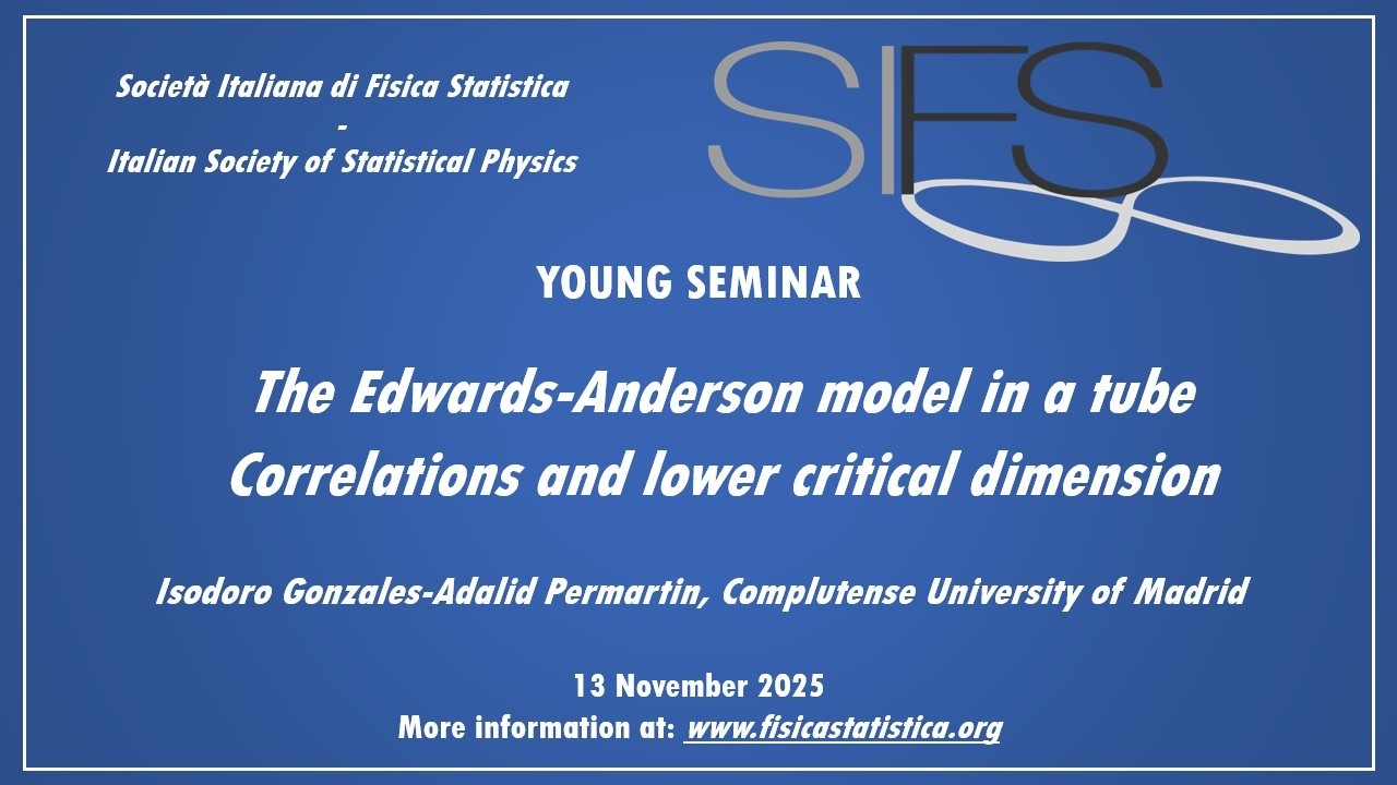 The Edwards-Anderson model in a tube​ - Isodoro Gonzales-Adalid Permartin - Young Seminars SIFS