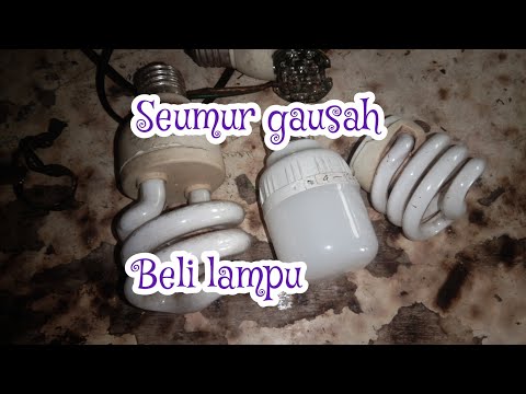 Video: Apakah lekapan lampu lilitan?