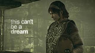 This pain feels r e a l : Shadow of the Colossus ( Low effect and effort project )