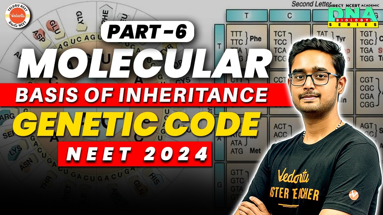 Molecular basis of inheritance class 12 chapter 6 part 5