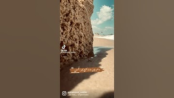 قرآن كريم بصوت جميل تك توك انستقرام حالات واتس اب 🕋 🕌