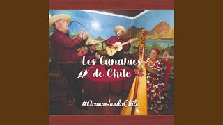 Video thumbnail of "Los Canarios de Chile - Firmamento"