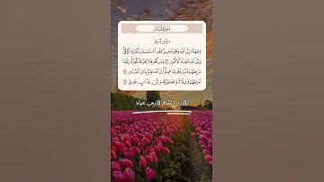 سورة لقمان آية (22_24) القارئ #فارس_عباد