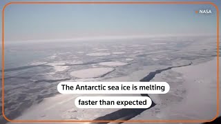 Antarctic sea ice at record low levels this winter