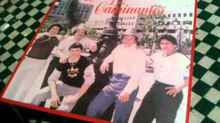 Video thumbnail of "Los Caminantes - El Potro Lobo Gateado."