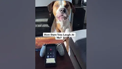 My Dog Prank Call Pet Store - Asking For Cat Poop! - DayDayNews