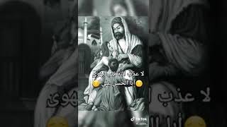 سلام الله عليك يا امين الله الامام علي ع