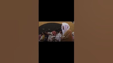 ياسر الدوسري - سورة السجدة #قرآن