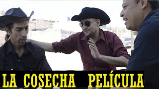 LA COSECHA ( PELÍCULA COMPLETA )