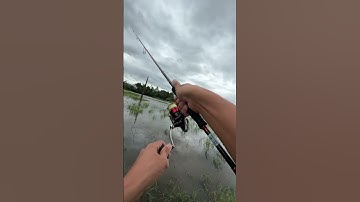 Mưa bão cũng cố lure mấy đường ở nhà ngứa chân quá...#luredao #lkhoa #lksvpro #luretunhien