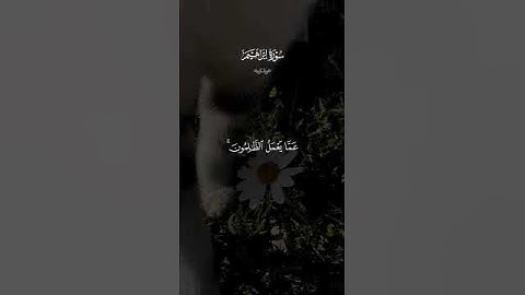 آيات عطرة من الذكر الحكيم #اللهم_صل_وسلم_على_نبينا_محمد