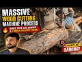 Massive Wood Cutting Machine Process 🔥 Giant Tree Log Sawing &amp; Timber Factory Work