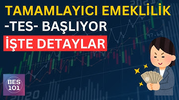 What Does the Supplementary Pension System TES Bring and What Does It Take Away?